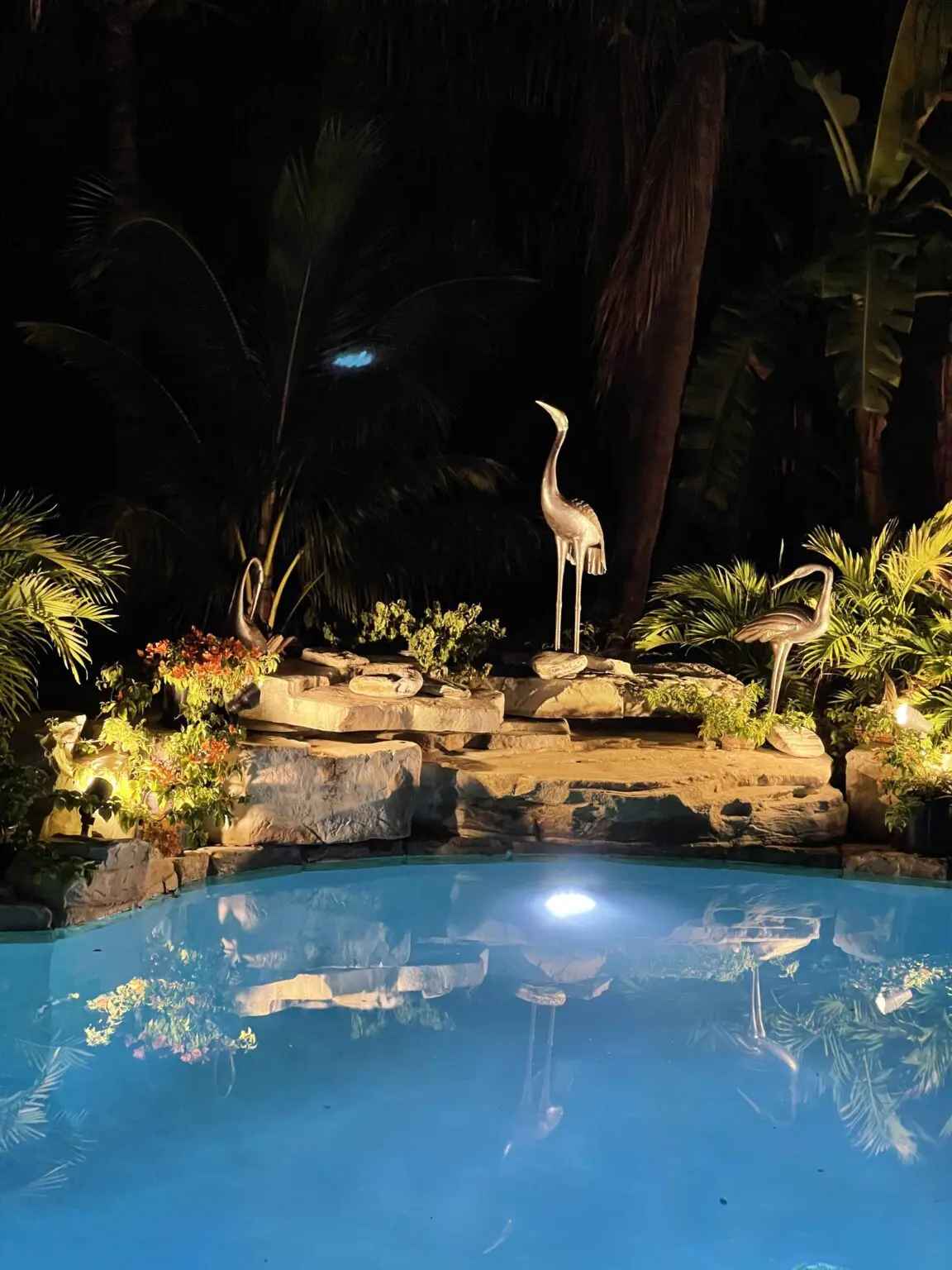 A beautiful swimming pool with bird statues